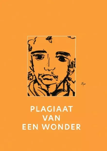 Cover van boek Een warme stem op een winteravond, proza