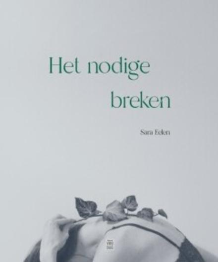 Cover van boek Het nodige breken