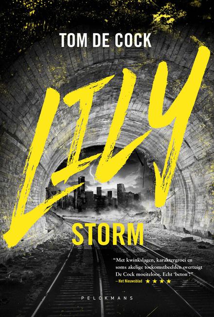 Cover van boek LILY II STORM