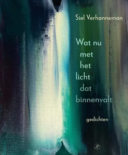 Cover van boek Wat nu met het licht dat binnenvalt