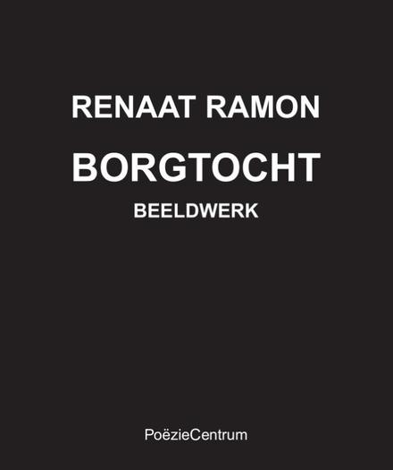 Cover van boek Borgtocht Beeldwerk