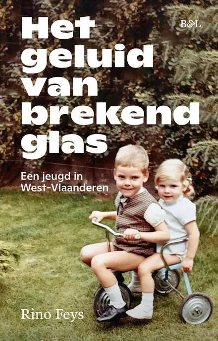 Cover van boek Het Geluid van Brekend glas 