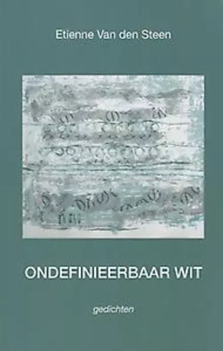 Cover van boek Ondefinieerbaar Wit