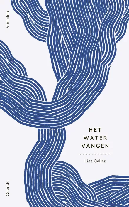 Cover van boek Het water vangen