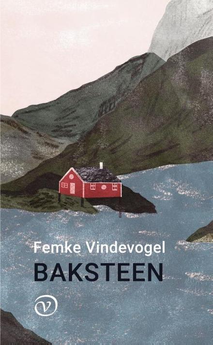 Cover van boek Baksteen