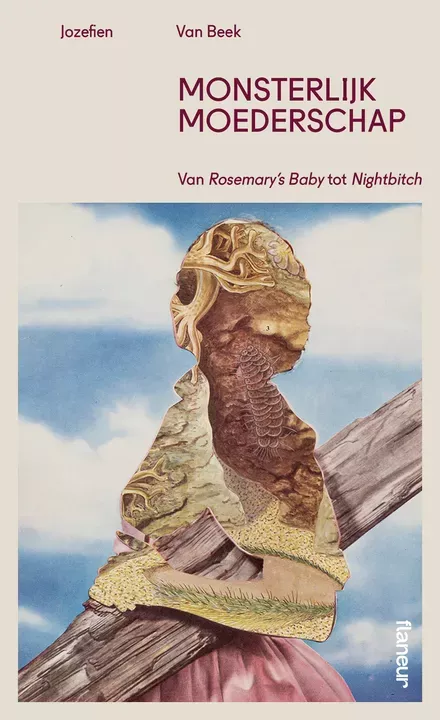 Cover van boek Monsterlijk moederschap