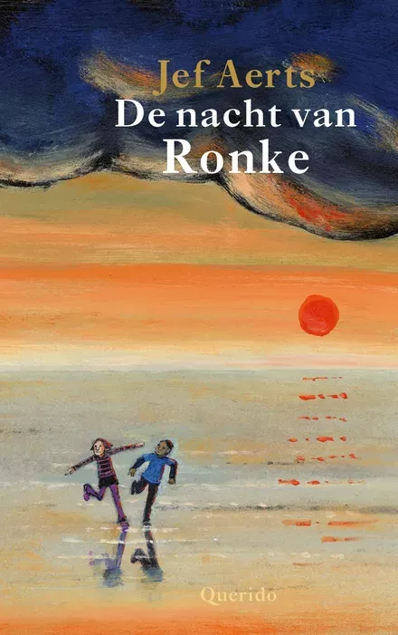 Cover van boek De nacht van Ronke