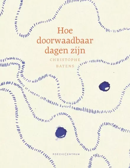 Cover van boek Hoe doorwaadbaar dagen zijn