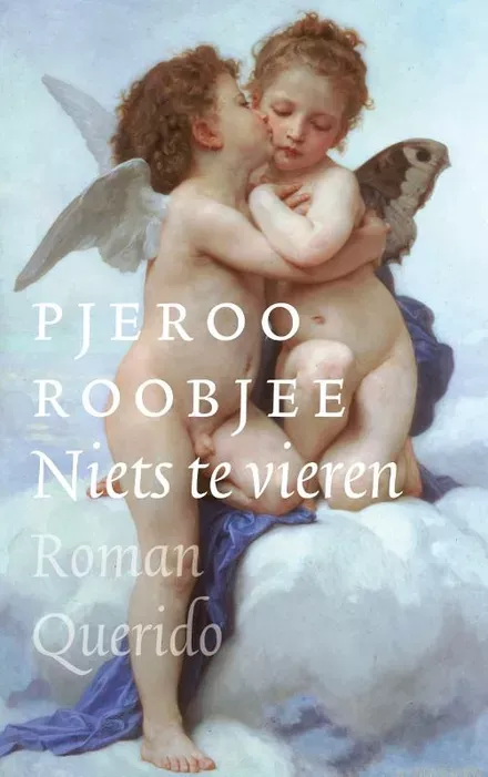 Cover van boek Niets te vieren