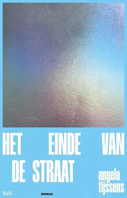 Cover van boek Het einde van de straat