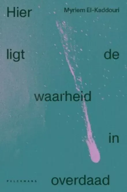 Cover van boek Hier ligt de waarheid in overdaad