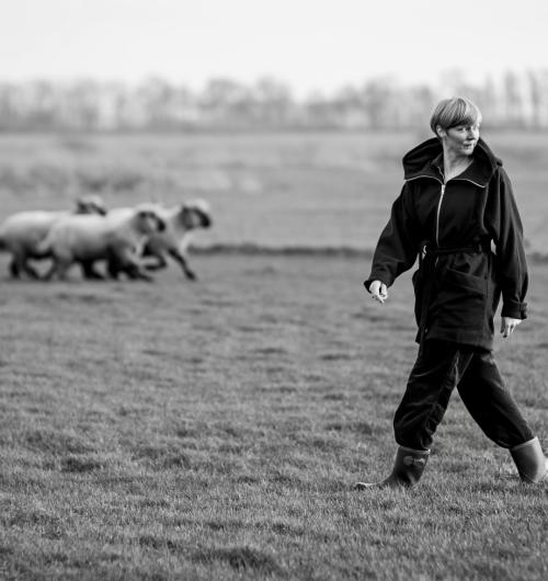 Vrouw in wei met schapen op achtergrond