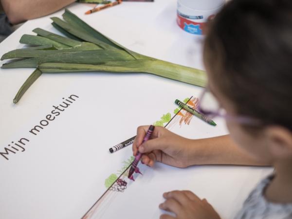 Verslag Zomerschool Brussel